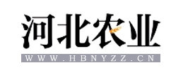 mksport体育